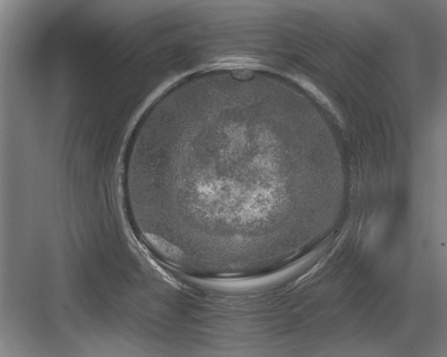 X0000084031325200702161424