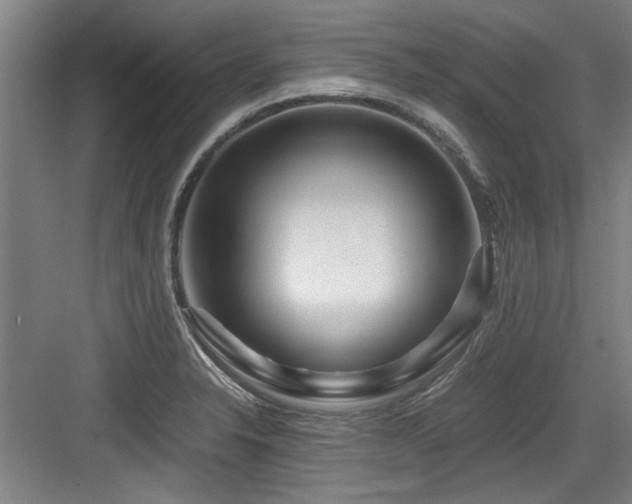 X0000084031326200702161424