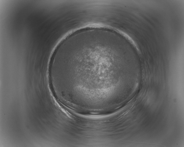 X0000084031327200702161424