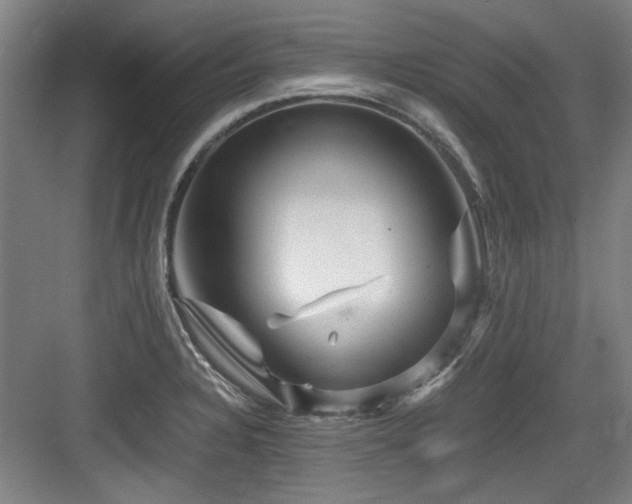 X0000084031328200702161424