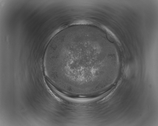 X0000084031329200702161424