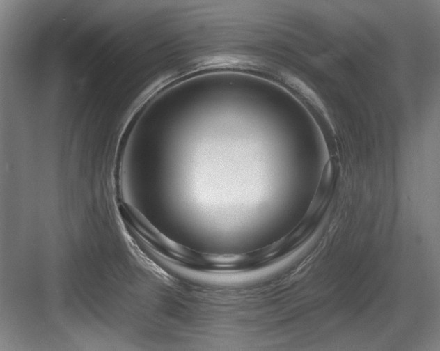 X0000084031330200702161424