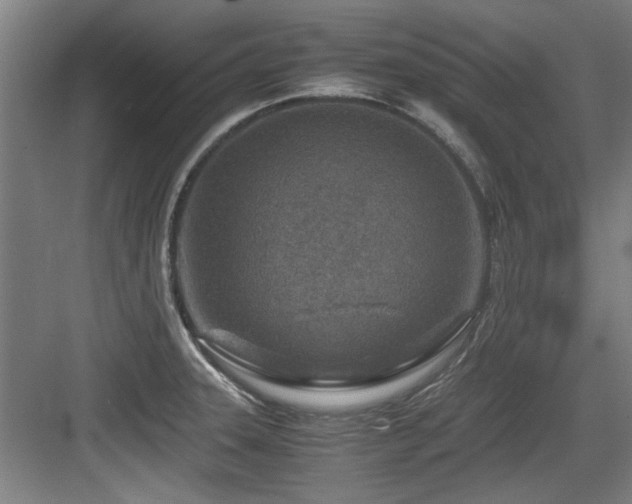 X0000084031331200702161424