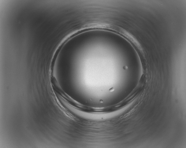 X0000084031332200702161425