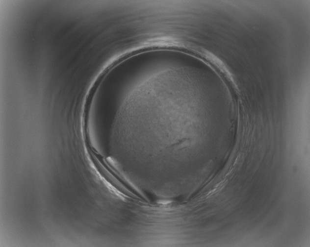 X0000084031334200702161425