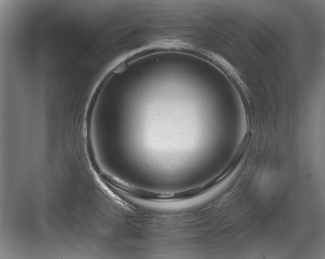 X0000084031335200702161425