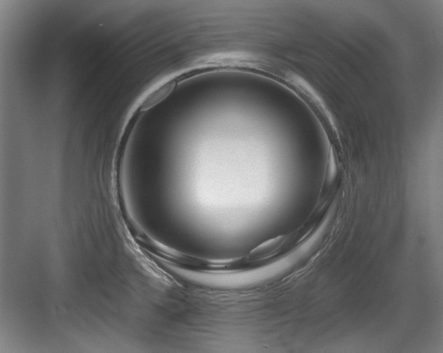 X0000084031336200702161425