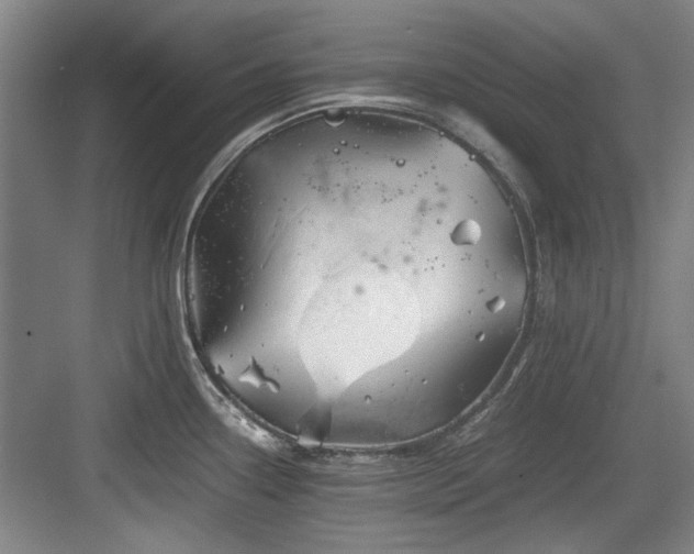 X0000084031338200702161425