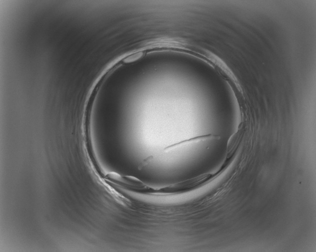 X0000084031339200702161425