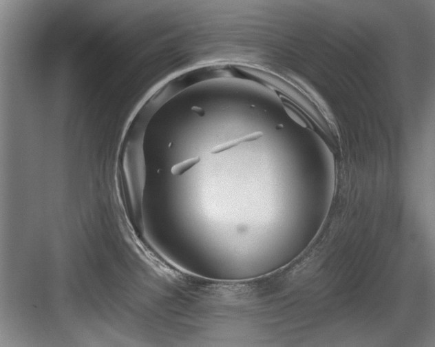 X0000084031340200702161425