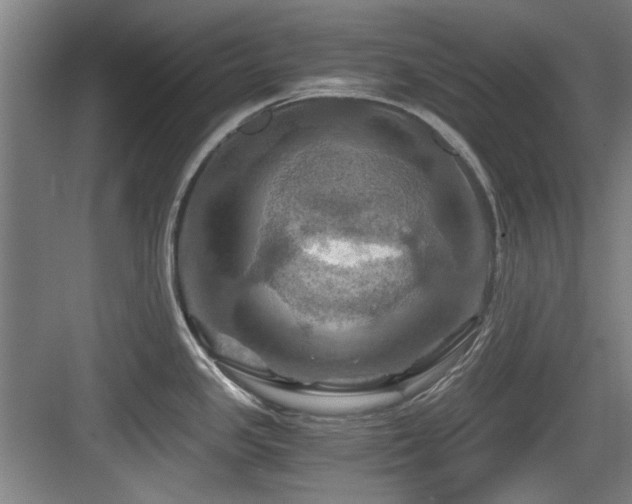 X0000084031341200702161425