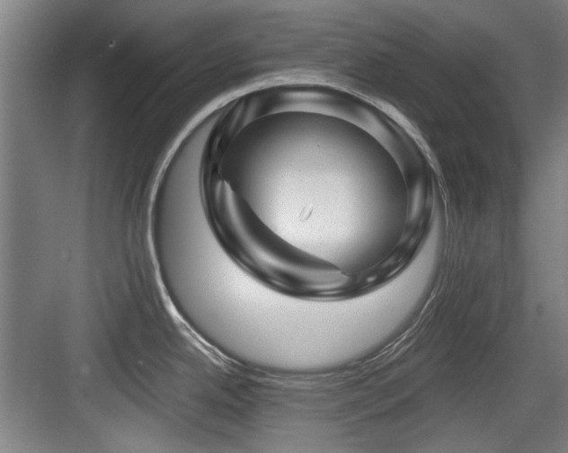 X0000084031342200702161425