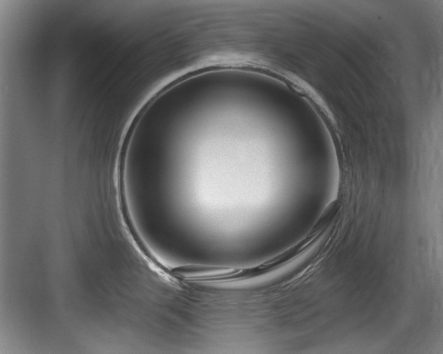 X0000084031343200702161425