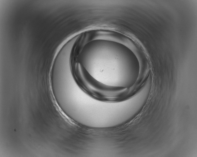 X0000084031344200702161425