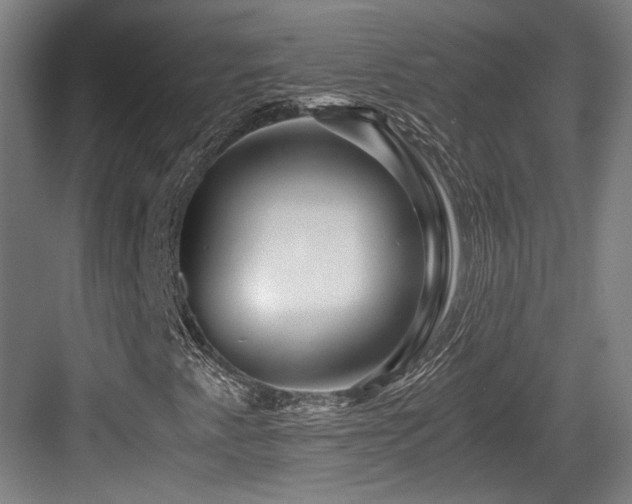 X0000084031345200702161424