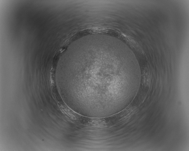 X0000084031346200702161424