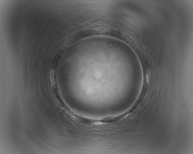 X0000084031347200702161424