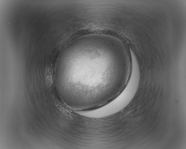 X0000084031348200702161424