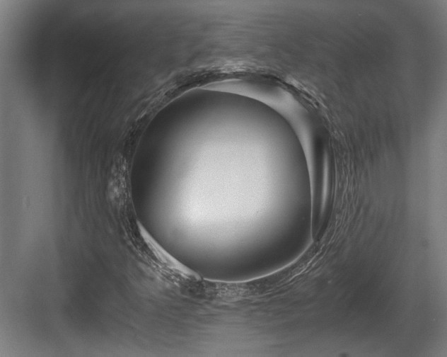 X0000084031349200702161424