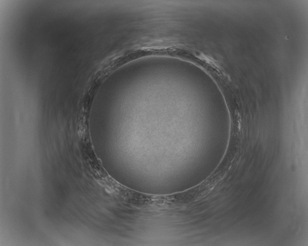 X0000084031350200702161424