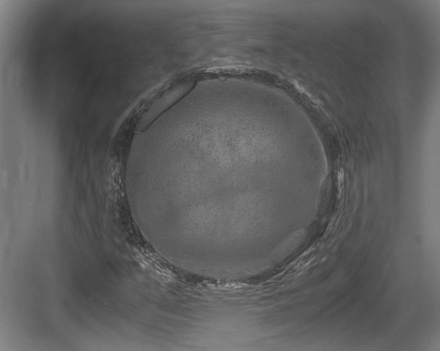 X0000084031351200702161424