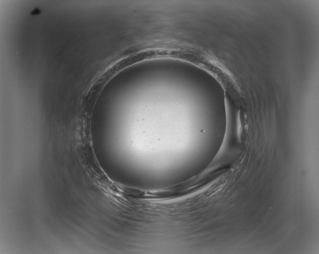 X0000084031352200702161424