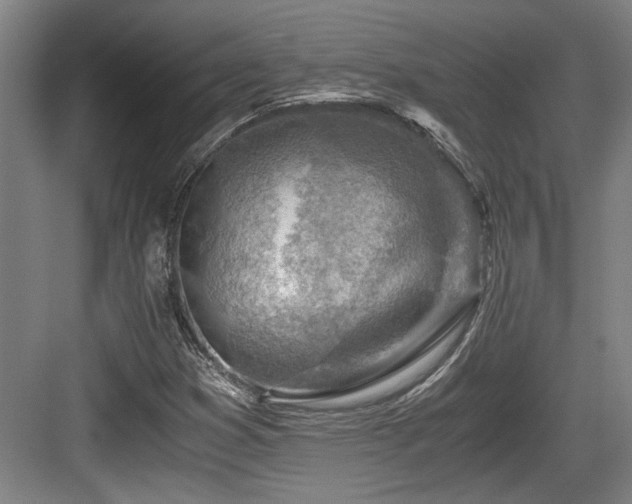 X0000084031353200702161424