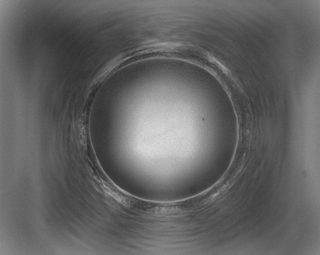 X0000084031354200702161424