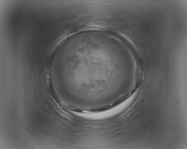 X0000084031355200702161424