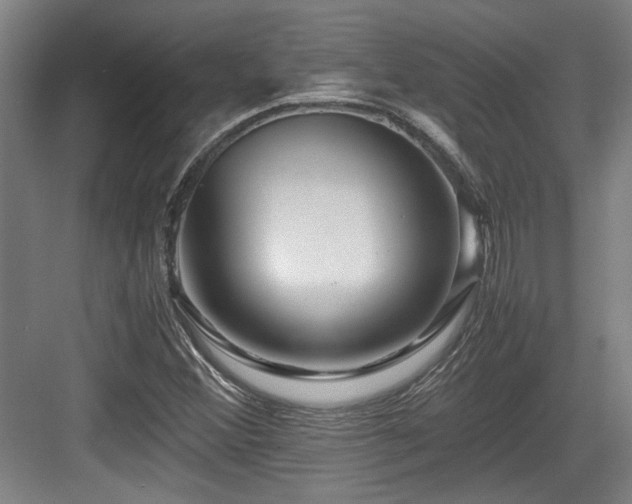 X0000084031356200702161424