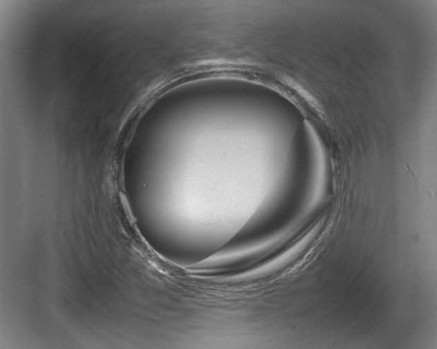 X0000084031357200702161424