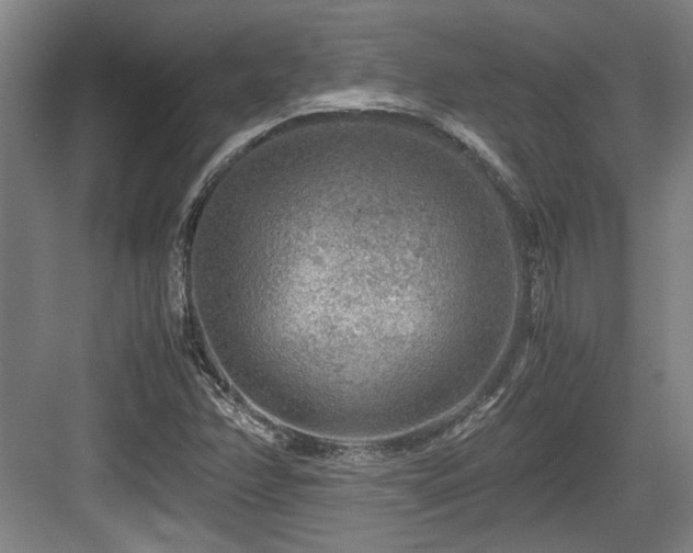 X0000084031358200702161424