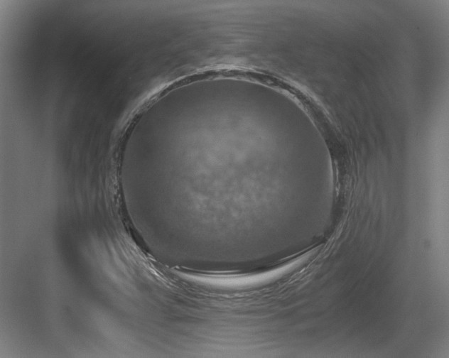 X0000084031359200702161424