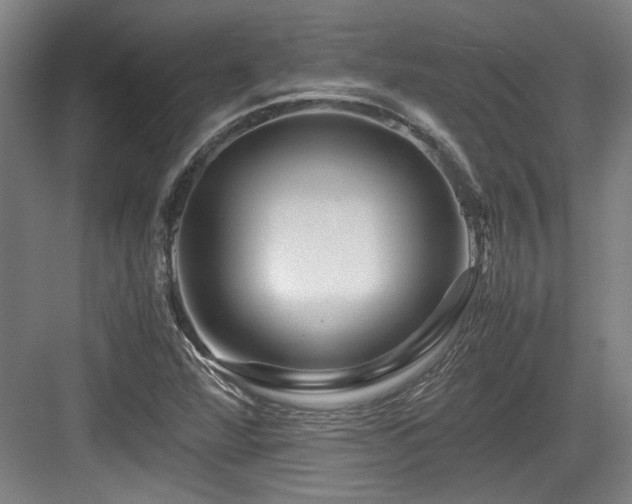 X0000084031360200702161424