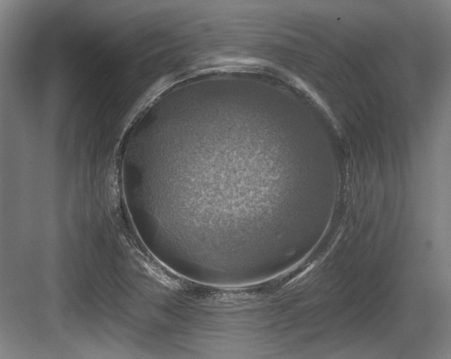 X0000084031362200702161424