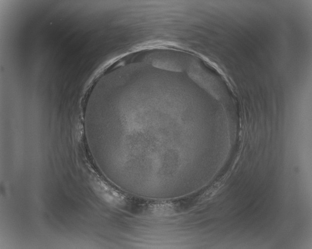 X0000084031363200702161424