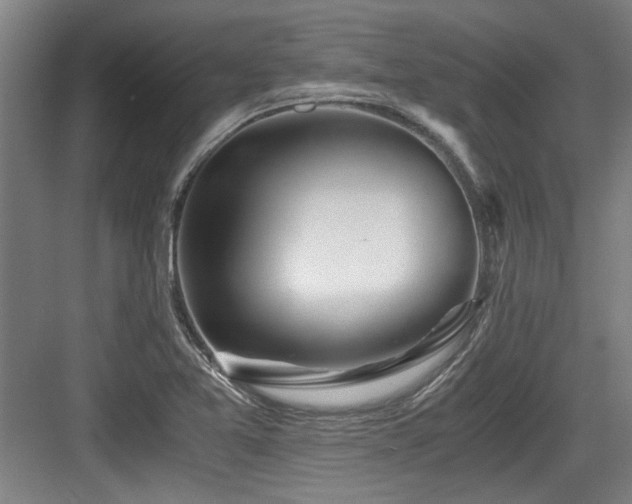 X0000084031365200702161424