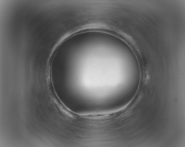 X0000084031366200702161424