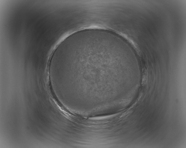 X0000084031367200702161424