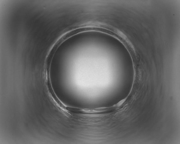 X0000084031368200702161424