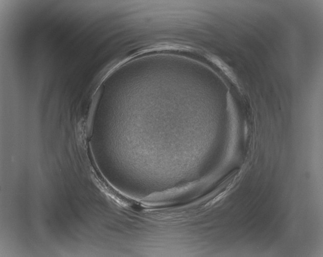 X0000084031369200702161423