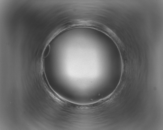 X0000084031370200702161423