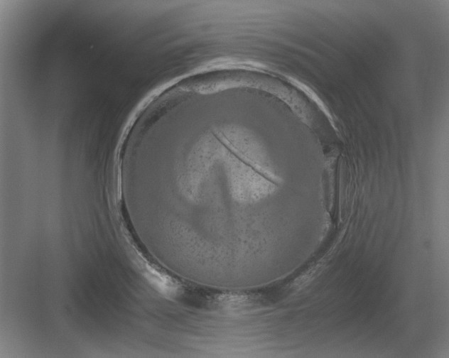 X0000084031371200702161423