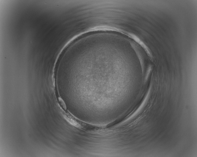 X0000084031372200702161423