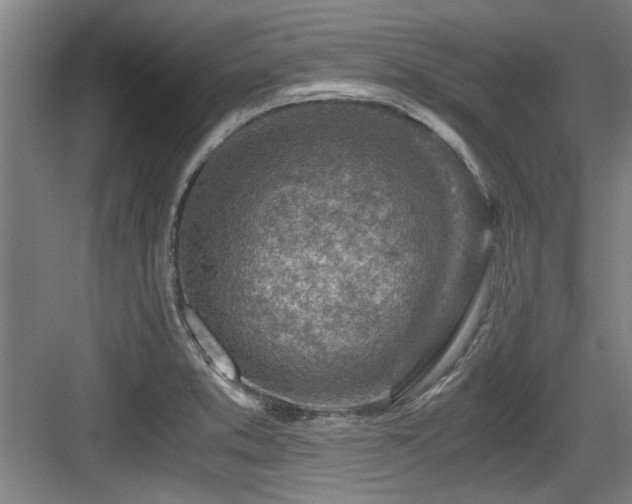 X0000084031373200702161423