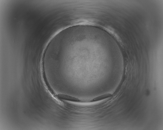 X0000084031375200702161423