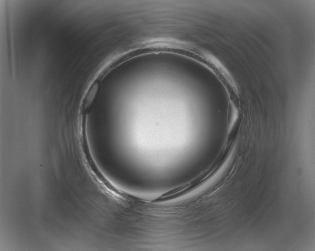 X0000084031376200702161423