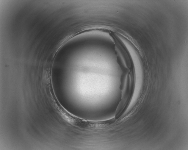 X0000084031377200702161423