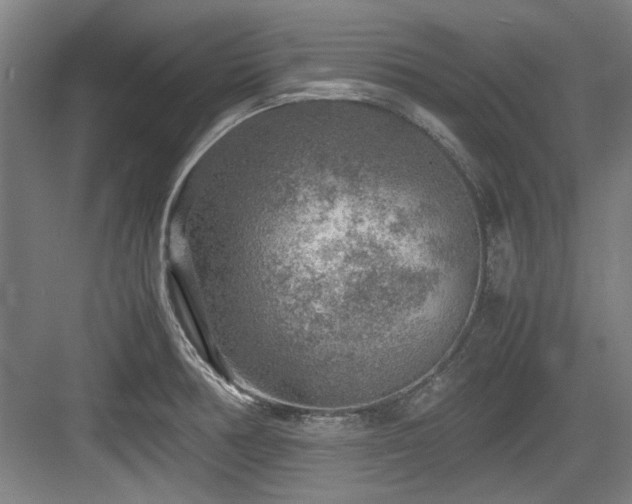 X0000084031378200702161423