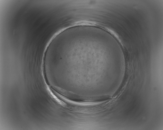 X0000084031379200702161423